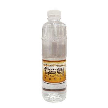 雪岩泉 江达净界饮用天然水 500ml