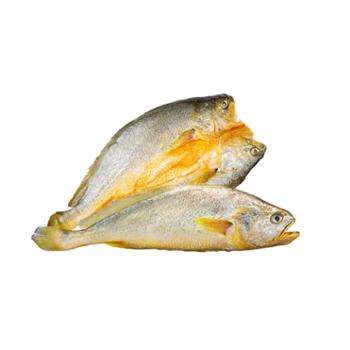 摩时渔鱼 桃花岛大黄鱼+脱脂大黄鱼鲞 共900g 年夜饭海鲜组合