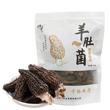 财梁 干羊肚菌 干货菌菇 100g