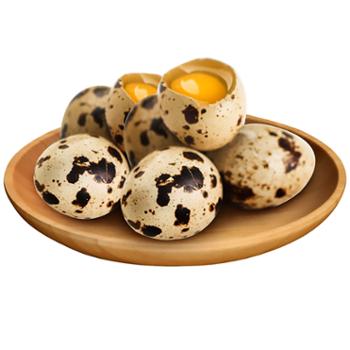 神丹 鲜鹌鹑蛋 50枚（437g）