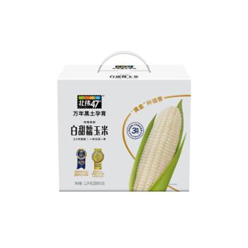 北纬47°   白糯鲜玉米 220g*10/盒