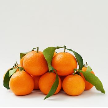 洲港湾 红美人柑橘 5斤/盒