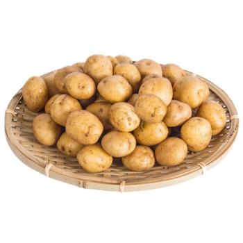 微徕福 高山土豆现挖马铃薯 鹅蛋大小 5斤