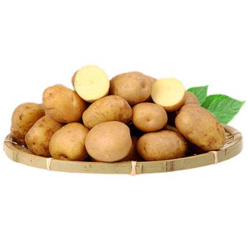 微徕福 高山土豆挖马铃薯鸡蛋大小 5斤