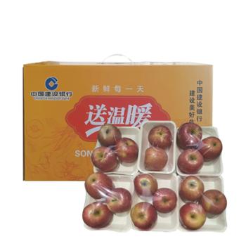 大司马 苹果礼盒（建行工会送温暖） 10斤