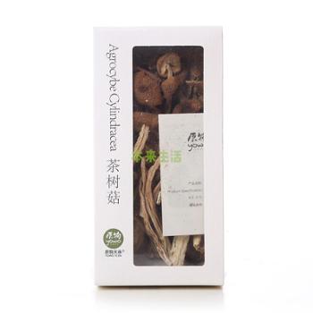 原物  茶树菇 55g