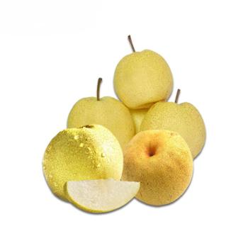 果源优品 砀山酥梨 约10斤 （12-15个精品果）