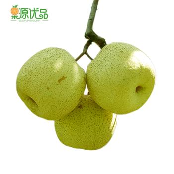果源优品 砀山酥梨 5斤 精品果（6-9）个