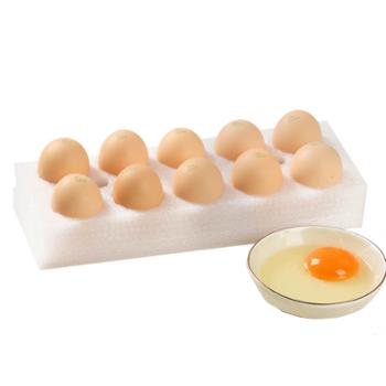百食轩 谷物散养土鸡蛋 10枚 （ 约450g）