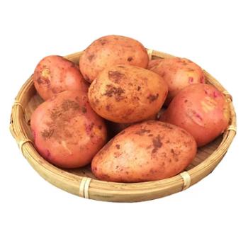鑫鲜聚 云南红皮土豆 中果3斤/5斤(单果约50-130g）
