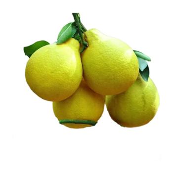 姆佬侬 广西罗城金玉柚10斤/件 （约2.5斤/个）