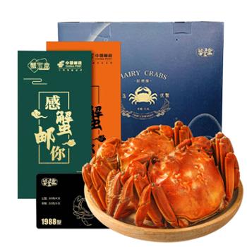 农源贡 阳澄湖鲜活大闸蟹 蟹卡 公蟹3两+母2两+4对8只 多规格