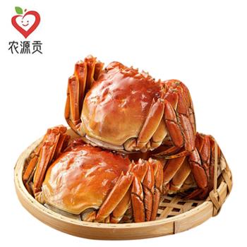 农源贡 新鲜鲜活大闸蟹 公蟹3两 母蟹2两 4对共8只 多规格