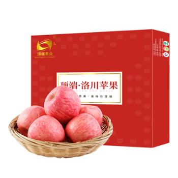 顶端果业 陕西洛川红富士苹果礼盒装 12枚大果（果径90mm）