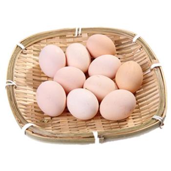 古色古乡 农家新鲜土鸡蛋 10枚装（单枚40-45g）