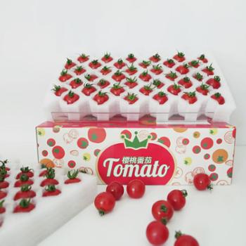 食尚崆桐 【顺丰】包邮甘肃特产荷兰品种红色小番茄水果 1kg2斤
