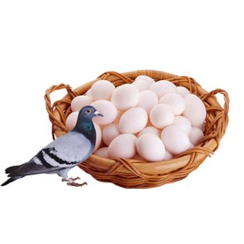 幸福童依 散养鸽子蛋 总重约800g左右 40枚