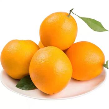 夔安山野 奉节脐橙 精品果5斤（75-85mm）新鲜橙子