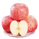 鲜果果 栖霞红富士苹果 净重5斤/9斤装