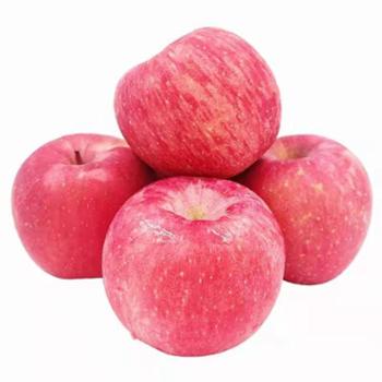 鲜果果 栖霞脆甜红富士苹果 大果5斤装（7-9个）