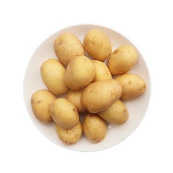 鲜进生 新鲜应季高山老品种黄心马尔科小土豆 5斤（鸡蛋大小）
