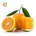 品宜品 宜昌新鲜现摘当季鲜橙子水果 5斤（70-75mm）