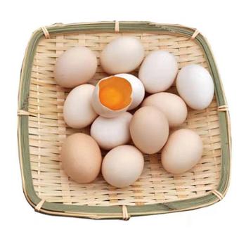 伊果农业 农家散养土鸡蛋(单枚40g以上） 40枚装
