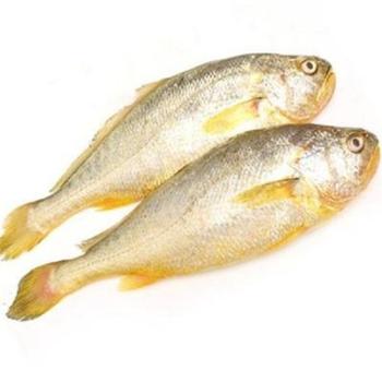 良尔惠 大黄花鱼 3斤/件（3条）