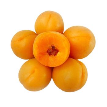 原味余生 大黄杏 4.5斤 单果重约80克左右