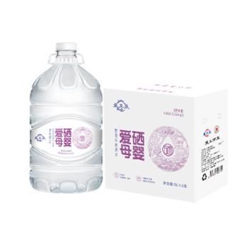 龙王泉 中国天然富硒水*泉 爱硒母婴5L*2桶整箱装 饮用天然富硒矿泉水