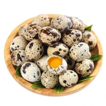 萨达  鲜鹌鹑蛋 200枚/箱 送卤料一包 营养美味