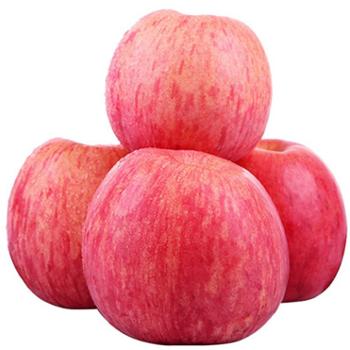 乡友集 洛川苹果红富士 18枚85mm果径 净重10斤