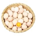 密云农家 山林粮食喂养月子鲜柴鸡蛋 约3斤 鸡蛋30枚