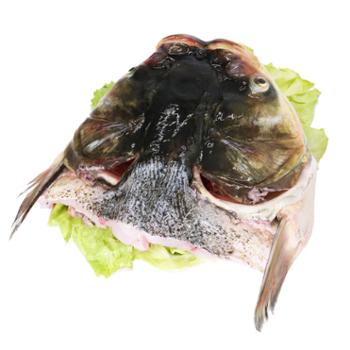 密云农家 密水农家水库鱼头 现捕现发 胖头鱼 花莲 鱼肉生鲜 鱼头约1.5-2.2斤