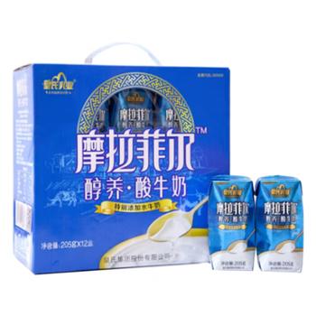 皇氏乳业 摩拉菲尔醇养酸牛奶 205g*12盒