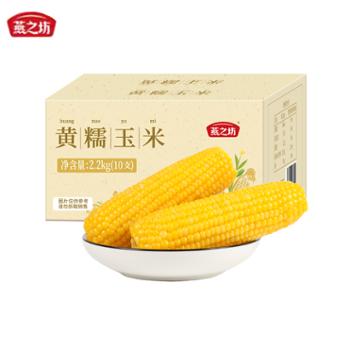 燕之坊 新鲜东北玉米嫩黄糯黏现摘甜黄糯玉米 2.2KG10根