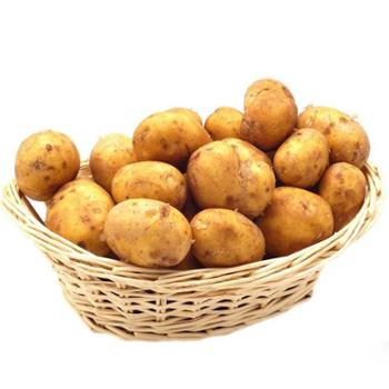 中果纯红 新鲜土豆 1.5kg