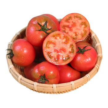 农道大叔 草莓西红柿 3斤