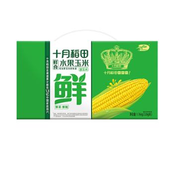 十月稻田 鲜食水果玉米 甜玉米 1.76kg